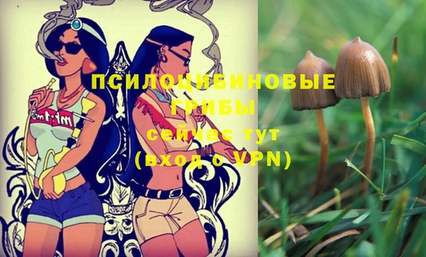 синтетический гашиш Алексеевка