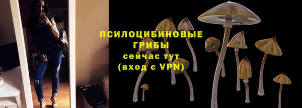синтетический гашиш Алексеевка