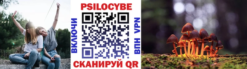 Псилоцибиновые грибы прущие грибы где можно купить наркотик Каневская